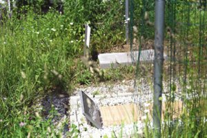 Augintinių kapinėse – neregėtas šabakštynas: savivaldybė papiktino vilniečius