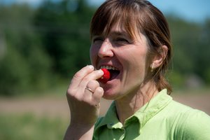 Dzūkijos braškininkai: saulė sunokino, kaitra pasaldino, kaina – gailestinga