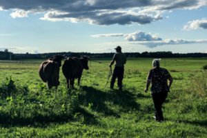 Smulkieji ūkininkai gali tikėtis 200 eurų išmokų