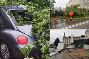 Lietuvą siaubusi audra medžius vertė vieną po kito, traiškė automobilius