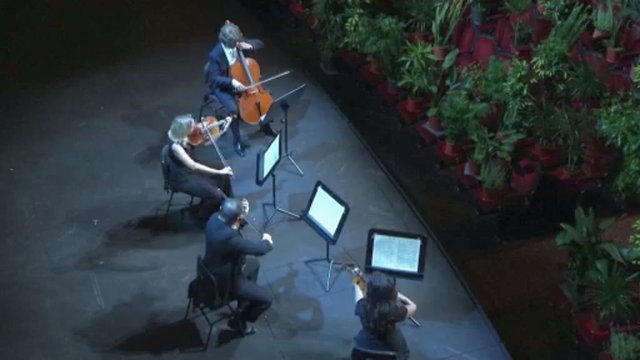 Ispanijoje surengtas neeilinis koncertas: operos klausėsi augalai