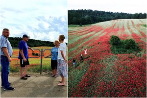 Lyg magnetas lietuvius traukusios aguonų pievos savininkai kreipėsi į žmones su prašymu