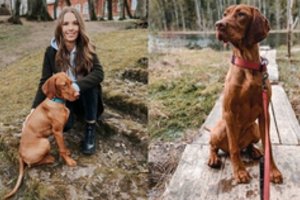 Aktyvios veislės šuo mieste: štai ką reikėtų žinoti