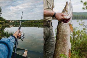 Ruoškite meškeres: Lietuvos vandens telkiniuose padaugėjo itin vertingų žuvų