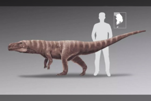 Gerai žinomų gyvūnų protėvis atrodė taip, kad šiandien įsivaizduoti tokį būtų sunku