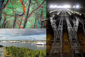 Planuojama steigti Girulių regioninį parką: saugos, kad neiškirstų miško dėl geležinkelio plėtros