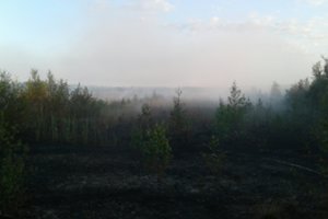 Biržų r. ugniagesiai tramdė durpyną apėmusias liepsnas