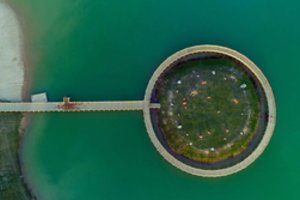 Šioje Lietuvos saloje pasijusite lyg Guliveris: nudžiugins mieli „vietiniai gyventojai“