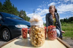 Perspėja grybautojus ir uogautojus: grės baudos, miškuose ir ežerų pakrantėse kils tvoros