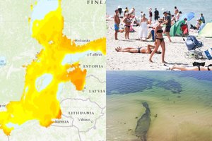 Įspėja besimaudančius Baltijos jūroje: vandenyje sparčiai dauginasi pavojingos bakterijos