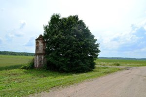 Kunigas kviečia gelbėti nykstantį Gumbių koplytstulpį