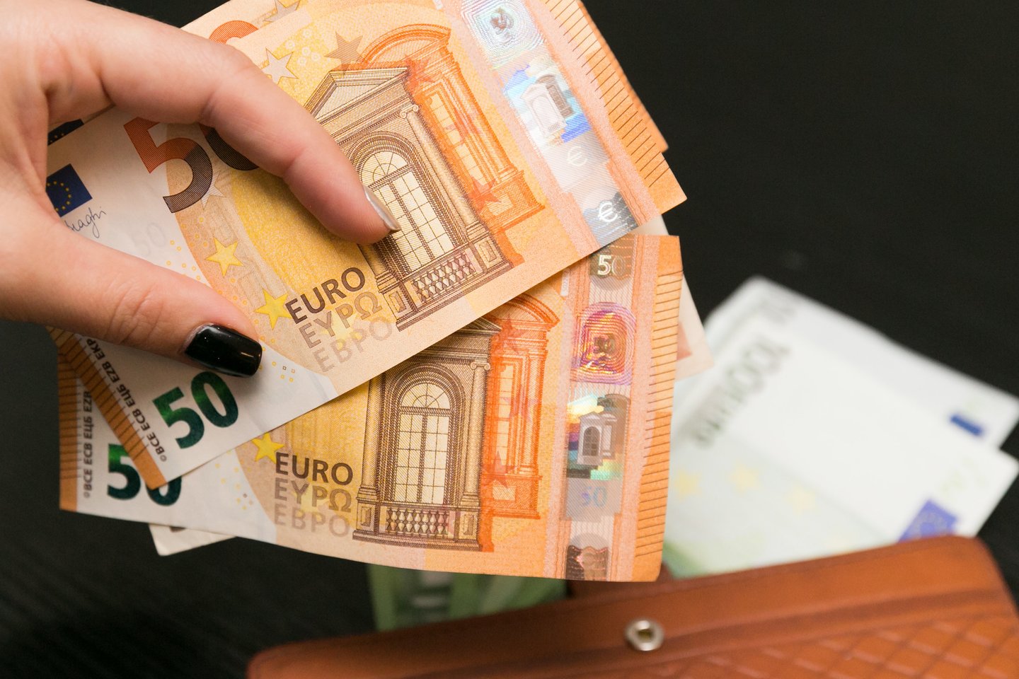 Tiesioginių užsienio investicijų (TUI) srautas pirmąjį ketvirtį sudarė 23,5 mln. eurų.<br>T.Bauro nuotr.