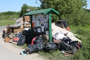 Paaiškino, kodėl žmonės linkę šiukšlinti net ir savo aplinkoje: vienas įprotis sudomino ekspertus