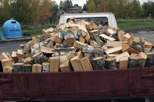 Pamatavo prekybą malkomis per karantiną ir apstulbo – to nėra buvę