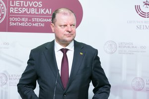 S. Skvernelis tikisi pirmininkavimą ES perėmusios Vokietijos paramos dėl Astravo AE