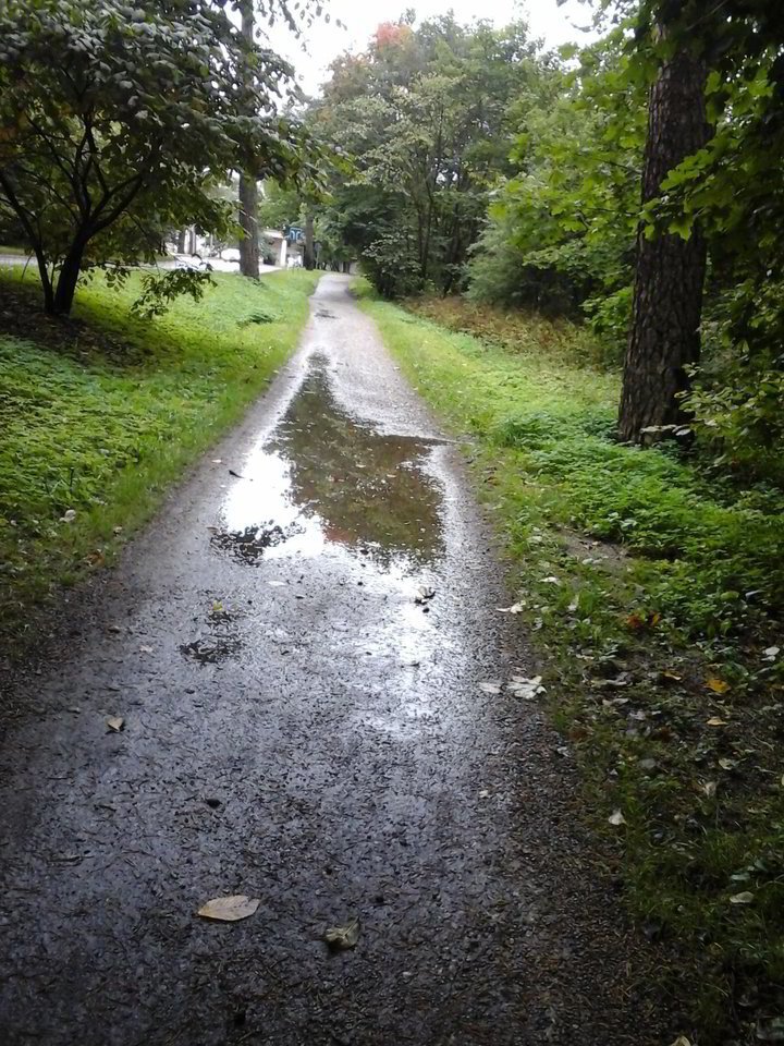Taip atrodo dviračių takas po lietaus.<br> P.Gaidelio nuotr.