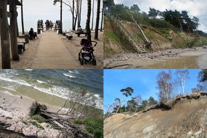 Pajūrio lankytojai šiurpsta – valstybės saugomoje vietoje vieną po kito kerta medžius