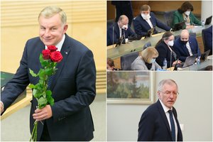 Už naujojo ministro paskyrimo – politinio turgaus pasiutpolkė: įžvelgia senos skolos grąžinimą