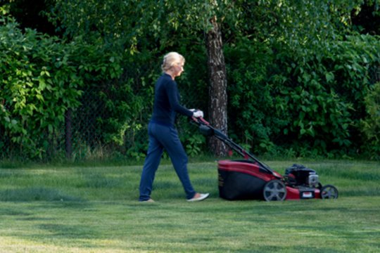 Lietuviams įkyrėjo stumdyti žoliapjoves – samdo įmones, kurios iššienauja sklypus