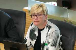 I. Šimonytė apie vidinį partijos reitingavimą: krikdemai visada būdavo aukštose pozicijose