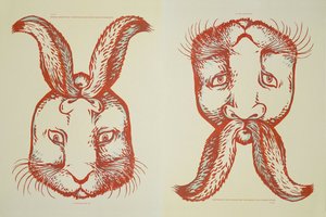 Ką pirmą pastebėjote? Iliuzija rodo, kaip mąstote