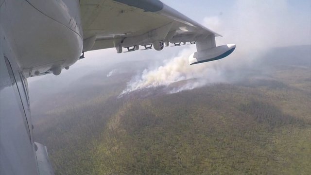 Dėl šylančio klimato Sibire siaučia miškų gaisrai: dega pusės Lietuvos dydžio plotas