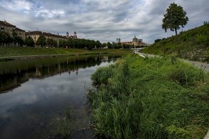 Gamtininką sužavėjo ypatingas reginys Neries pakrantėje sostinės centre