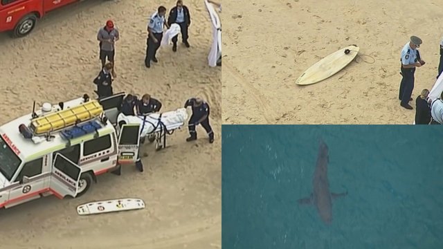 Kraupi nelaimė Australijoje: ryklys mirtinai sužalojo jauną narą
