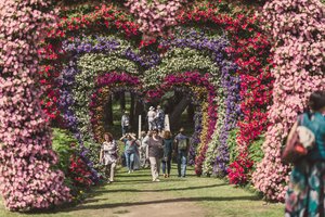 Pakruojo dvaras raibsta gėlėmis – čia traukia tūkstančiai lankytojų
