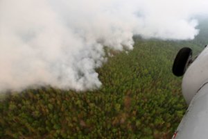 Sibire siaučia negailestinga stichija: į aplinką pateko 59 megatonos anglies dioksido