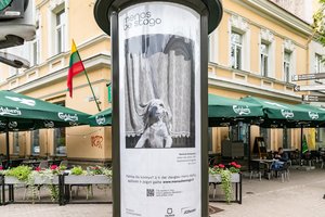 Sostinės centras tapo meno galerija po atviru dangumi 