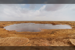 Pagaliau ima aiškėti ežero-žudiko paslaptis: mokslininkai turi versiją, kodėl čia žūsta paukščiai