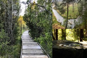 Gražiausi pažintiniai takai Lietuvoje: išsirinkite pagal vietą ir ilgį 