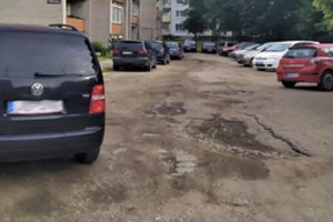 Plungiškiai buvo priversti susimokėti už gyvatvorės, kurios nėra, karpymą 