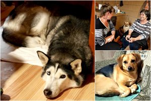 Šeima neatstūmė nė vieno bėdžiaus – priėmė ir aklus, ir bijančius griaustinio bei vyrų kalbų