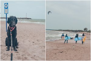 Klaipėdos pajūryje – šunų paplūdimys: kviečia smagiai pailsėti su keturkojais draugais