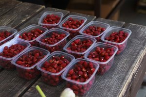 Uogų sezonas įsibėgėja: štai kas turguje maloniai stebina pirkėjus