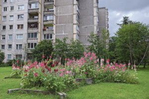 Kauno daugiabučių kiemuose pražydo apleistos smėlio dėžės  