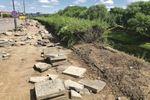 Kerta tris dešimtmečius žaliavusius  krūmus – kauniečiams žada puikų vaizdą