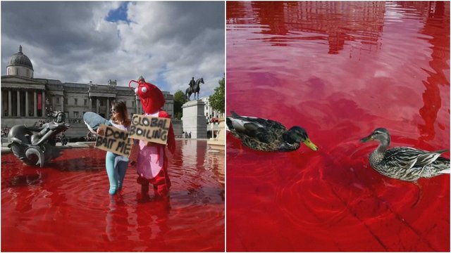 Londone fontanų vanduo nudažytas raudona spalva – aktyvistai siunčia žinią valdžiai