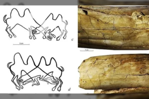 Sibire – nepaprastas radinys