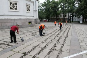 Nedarbas Lietuvoje auga, bet yra ir darbų, kuriems verkiant reikia žmonių 