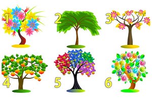 Jūsų medis: ką gyvenime darote ne taip?