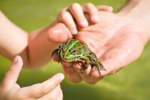 Jeigu jums taip nutiks, nedelsdami sugalvokite norą: turi išsipildyti