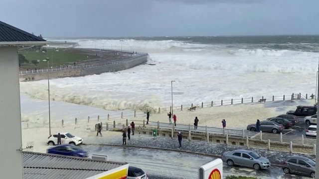 Gamta krečia pokštus: po audros tokio vaizdo paplūdimyje nesitikėjo
