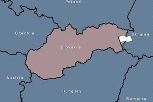 AKM plinta Europoje: apie pirmąjį protrūkį nedideliame ūkyje pranešė Slovakija