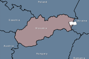 Afrikinis kiaulių maras plinta Europoje: pirmasis protrūkis Slovakijoje