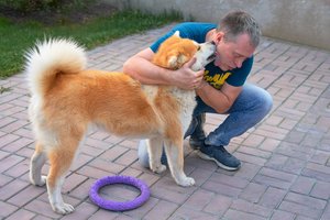Mėgstate pabučiuoti savo šunį? Mokslininkai turi jums svarbią žinią