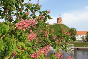 Gedimino pilies bokšto muziejus 60-mečio proga virsta traukos tašku