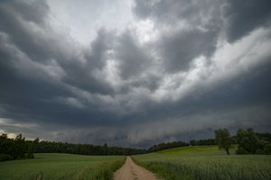 EK patvirtino 47,5 mln. eurų paramos schemą Lietuvos ūkininkams